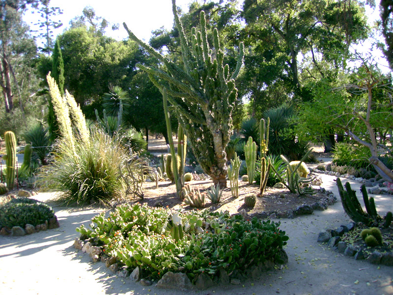 Stanford Arboretum 4